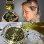¡Transforma tu Cabello con Este Increíble Tratamiento Casero!