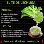 Los Sorprendentes Beneficios del Té de Lechuga