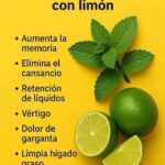 Refrescante Jugo de Hierbabuena con Limón: Beneficios y Receta