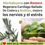Los Increíbles Beneficios de la Hierbabuena y el Romero