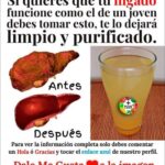 Todo lo que necesitas saber sobre la Importancia de la Información